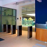 Optical Turnstiles